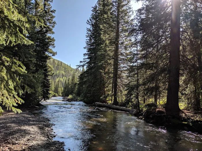 South Mineral Campground Picture 6