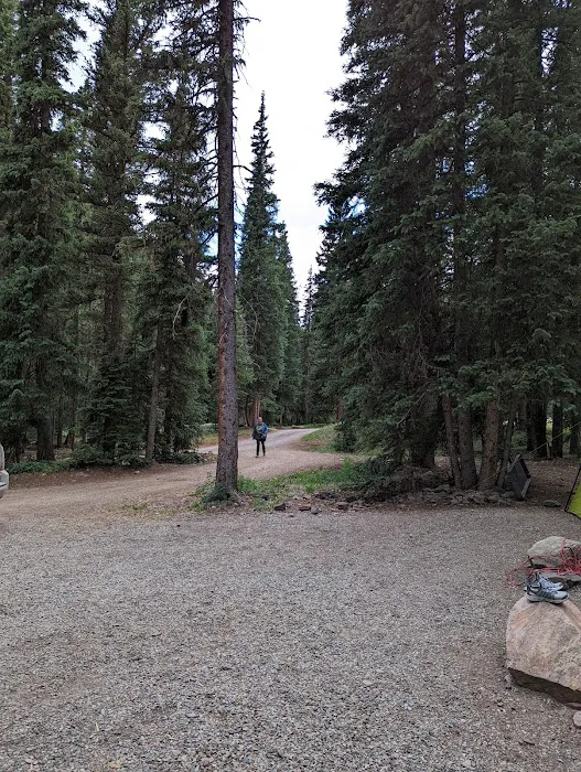 South Mineral Campground Picture 4