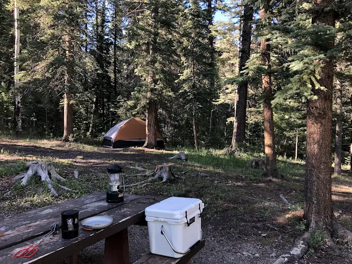 Cimarrona Campground Picture 7