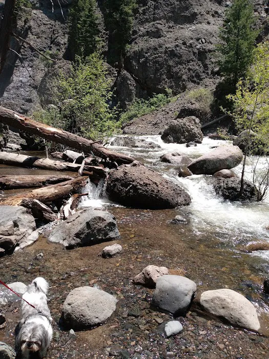 Williams Creek Campground Picture 7