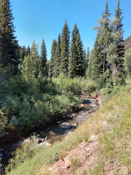 Fall Creek Recreation Site Picture 10