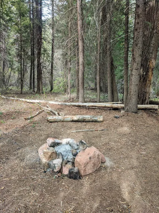 Fall Creek Recreation Site Picture 4