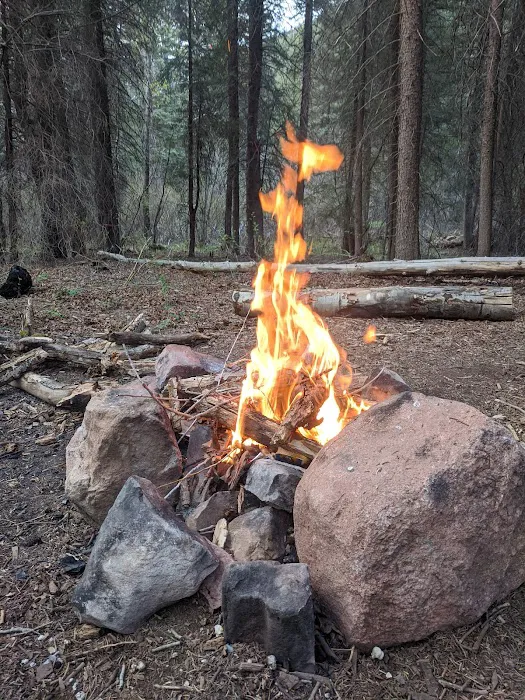 Fall Creek Recreation Site Picture 3