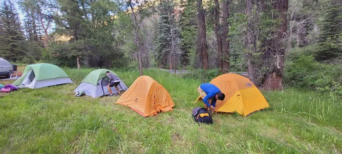 Fall Creek Recreation Site Picture 6