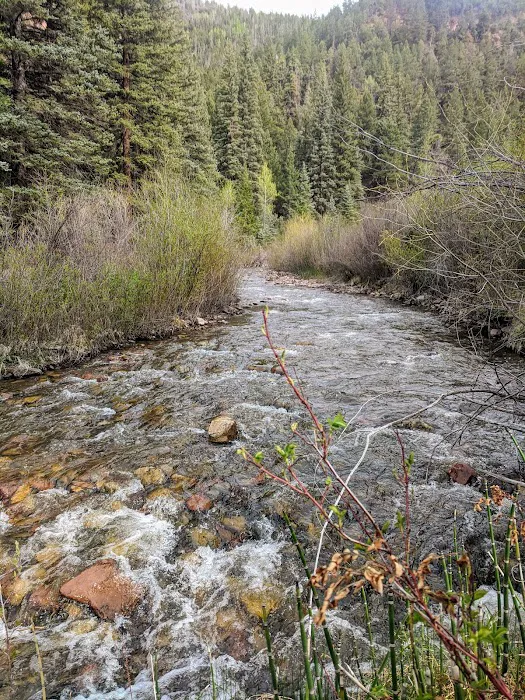 Fall Creek Recreation Site Picture 7
