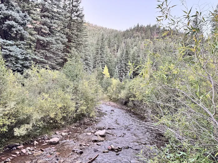 Fall Creek Recreation Site Picture 9