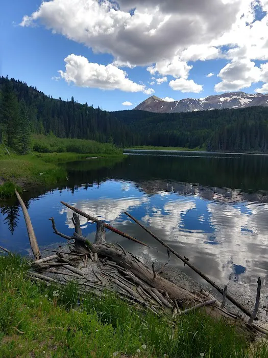 Woods Lake Campground Picture 4