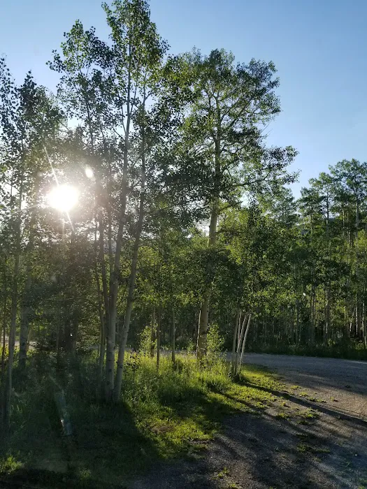 Woods Lake Campground Picture 2