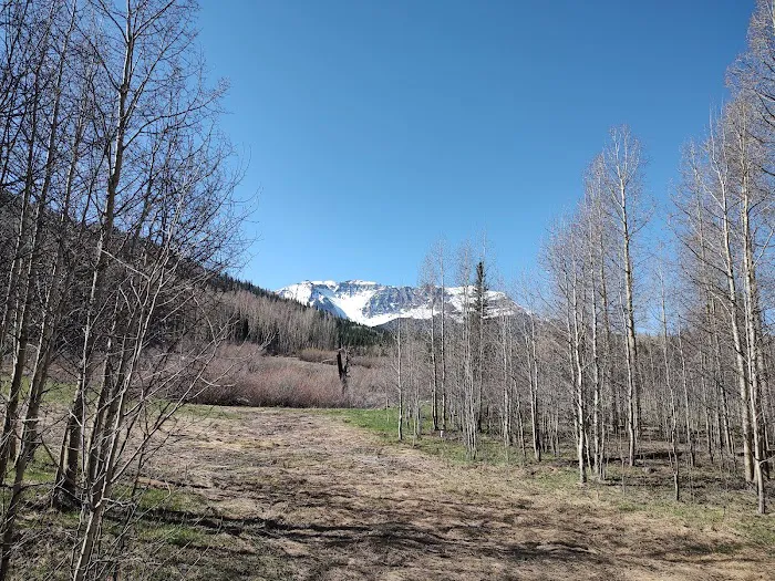 Matterhorn Campground Picture 4