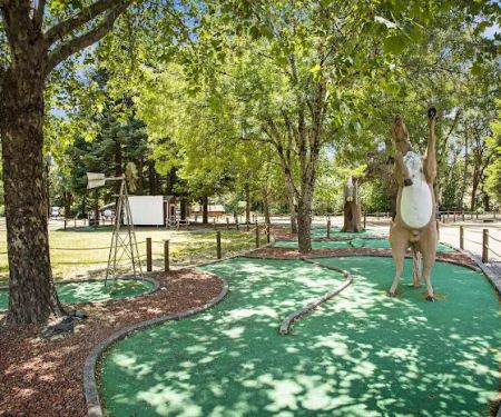 Mendocino Redwoods RV Resort