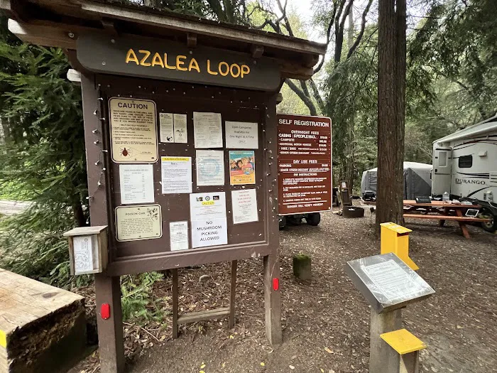Azalea Campground Picture 5