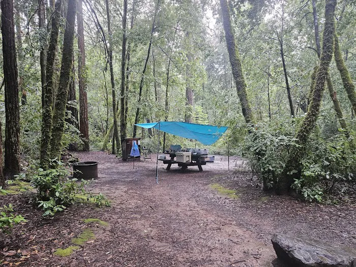 Azalea Campground Picture 1