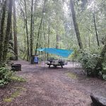 Azalea Campground