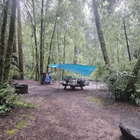 Azalea Campground ico