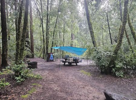Azalea Campground