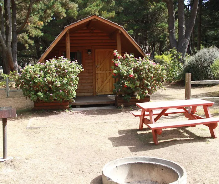 Manchester Beach / Mendocino Coast KOA Journey Picture 8