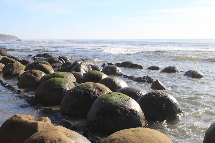 Manchester Beach / Mendocino Coast KOA Journey Picture 2