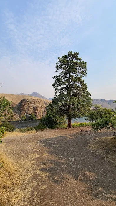 Davidson Flats Campground - leased to OPRD Picture 4