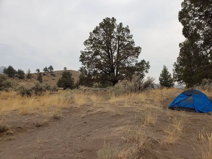 Davidson Flats Campground - leased to OPRD Picture 3
