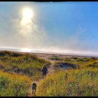 Ocean Shores Outdoor Recreation Club ico