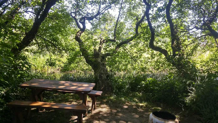 Screamin' Eagle Campground Picture 7