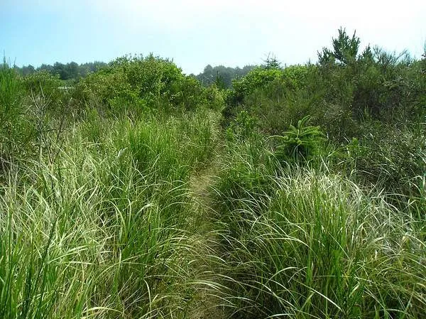 Thousand Trails Oceana Picture 2