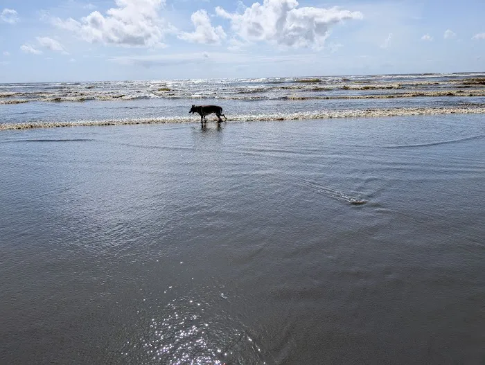 Thousand Trails Oceana Picture 1