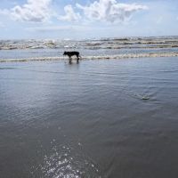 Thousand Trails Oceana ico