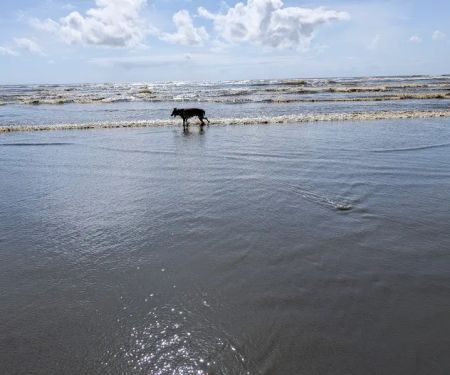 Thousand Trails Oceana