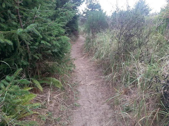 Thousand Trails Oceana Picture 10