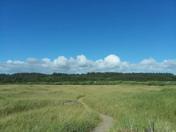 Tidelands Campgrounds Picture 6