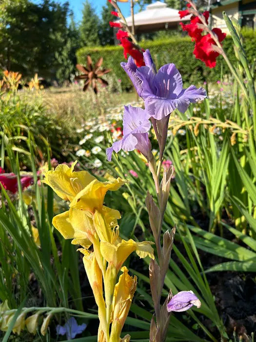 Fernwood Retreat at Bloom Hill Farm Picture 3