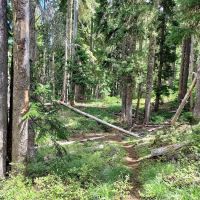 Big Meadows Horse Camp ico