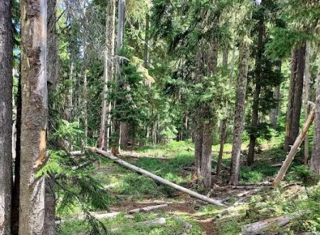 Big Meadows Horse Camp