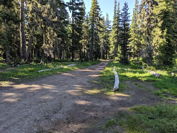 Breitenbush Lake Campground Picture 1
