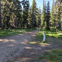 Breitenbush Lake Campground ico