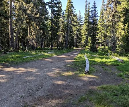 Breitenbush Lake Campground