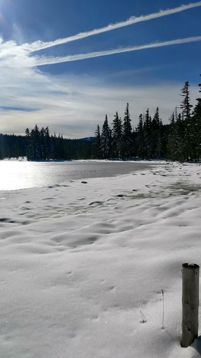 Breitenbush Lake Campground Picture 8