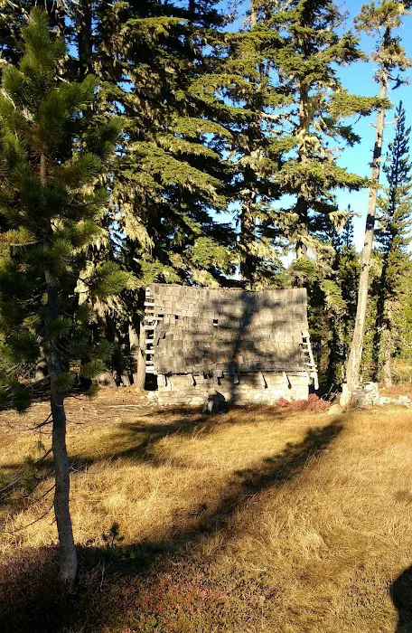 Breitenbush Lake Campground Picture 5