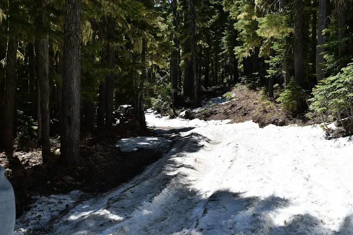Horseshoe Lake Campground Picture 8
