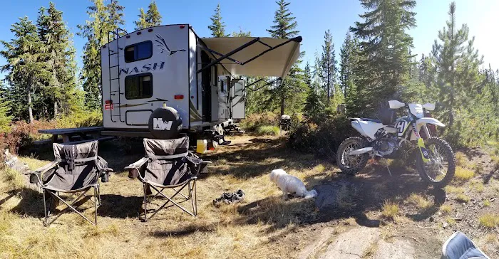 Peninsula (Olallie Lake) Campground Picture 2