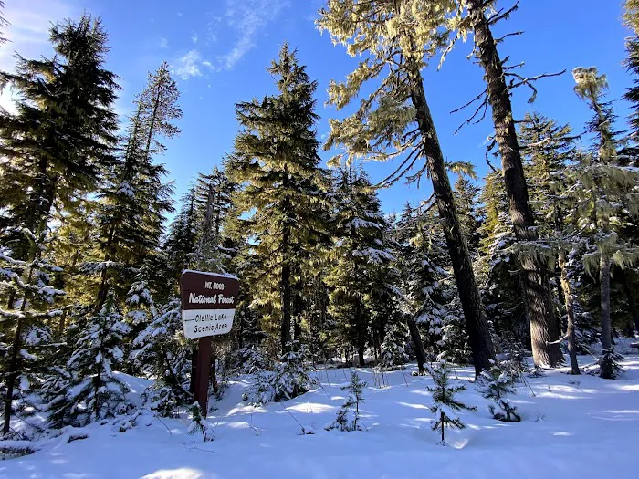 Peninsula (Olallie Lake) Campground Picture 7