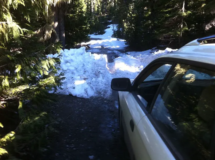 Camp Ten (Olallie Lake) Campground Picture 7