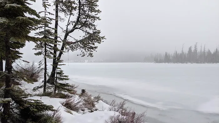 Camp Ten (Olallie Lake) Campground Picture 4
