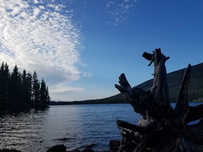 Camp Ten (Olallie Lake) Campground Picture 2