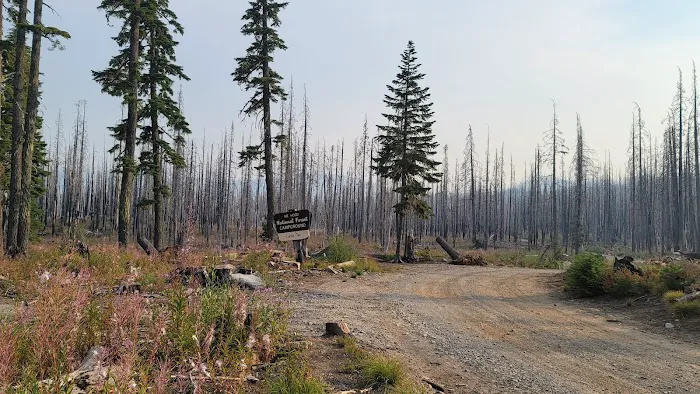 Camp Ten (Olallie Lake) Campground Picture 3
