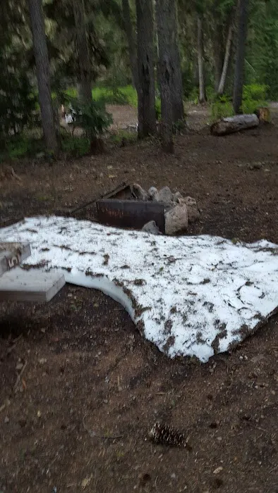 Camp Ten (Olallie Lake) Campground Picture 9