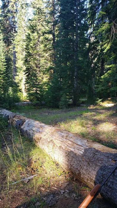 Lost Prairie Campground Picture 3