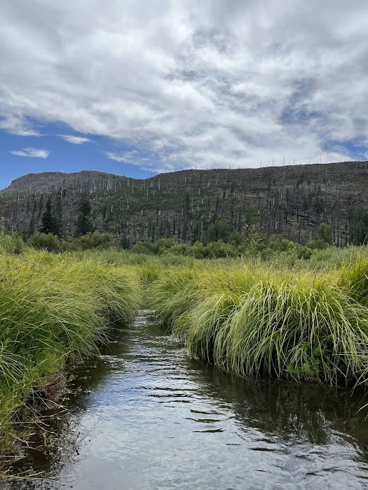 Lost Prairie Campground Picture 1