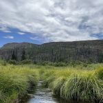 Lost Prairie Campground